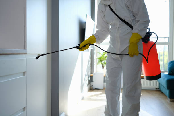 Why You Should Choose Our Mold Remediation Services in Camden, SC